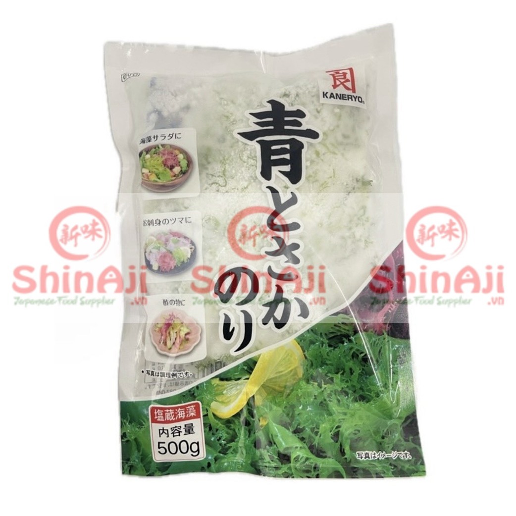 rong-bien-tuoi-xanh-ao-tosaka-logo-mo